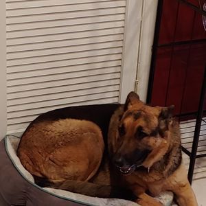 Meet your Posher, Joseph